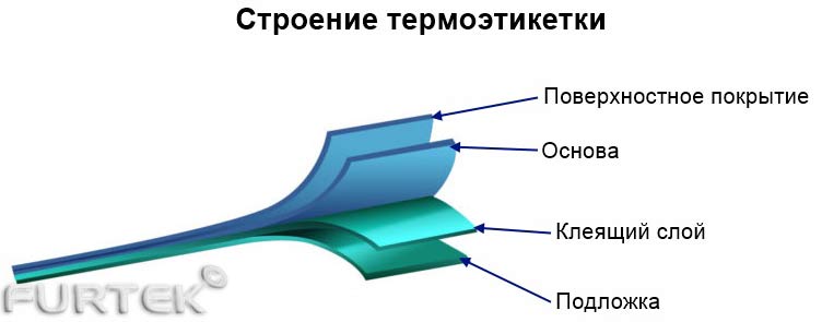 Инфографика - Строение термоэтикетки