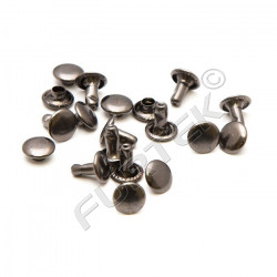 Хольнитены